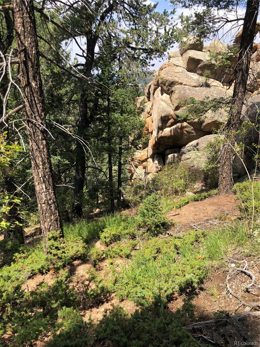 213 Osoeola Rd, Woodland Park, CO 80863