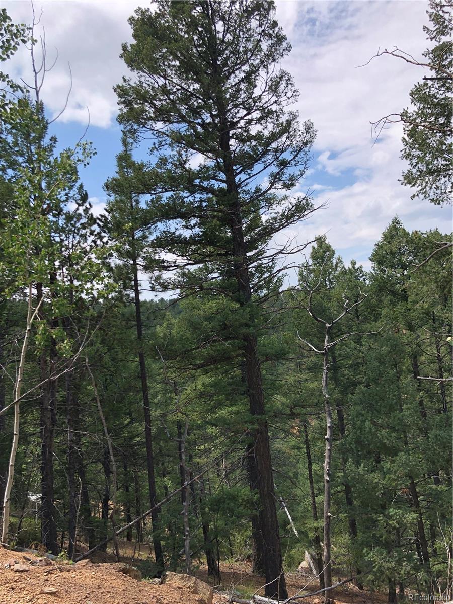 213 Osoeola Rd, Woodland Park, CO 80863