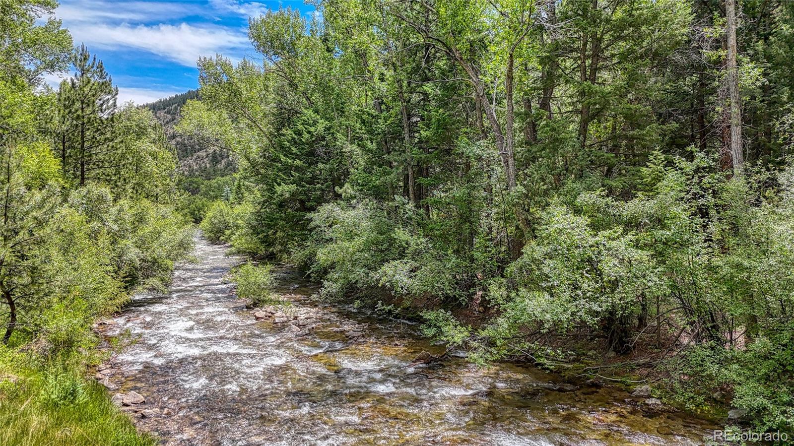 17755 County Road 291, Nathrop, CO 81236