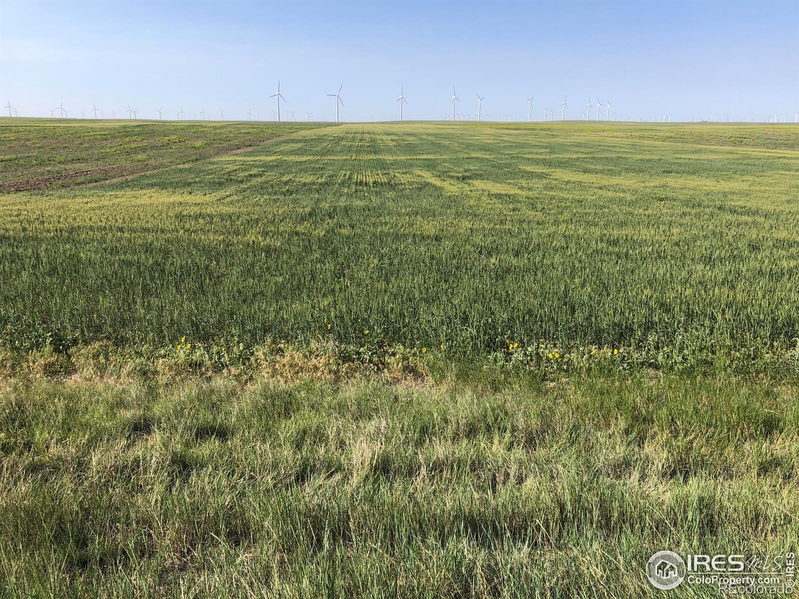 0 Wcr 105, Grover, CO 80729