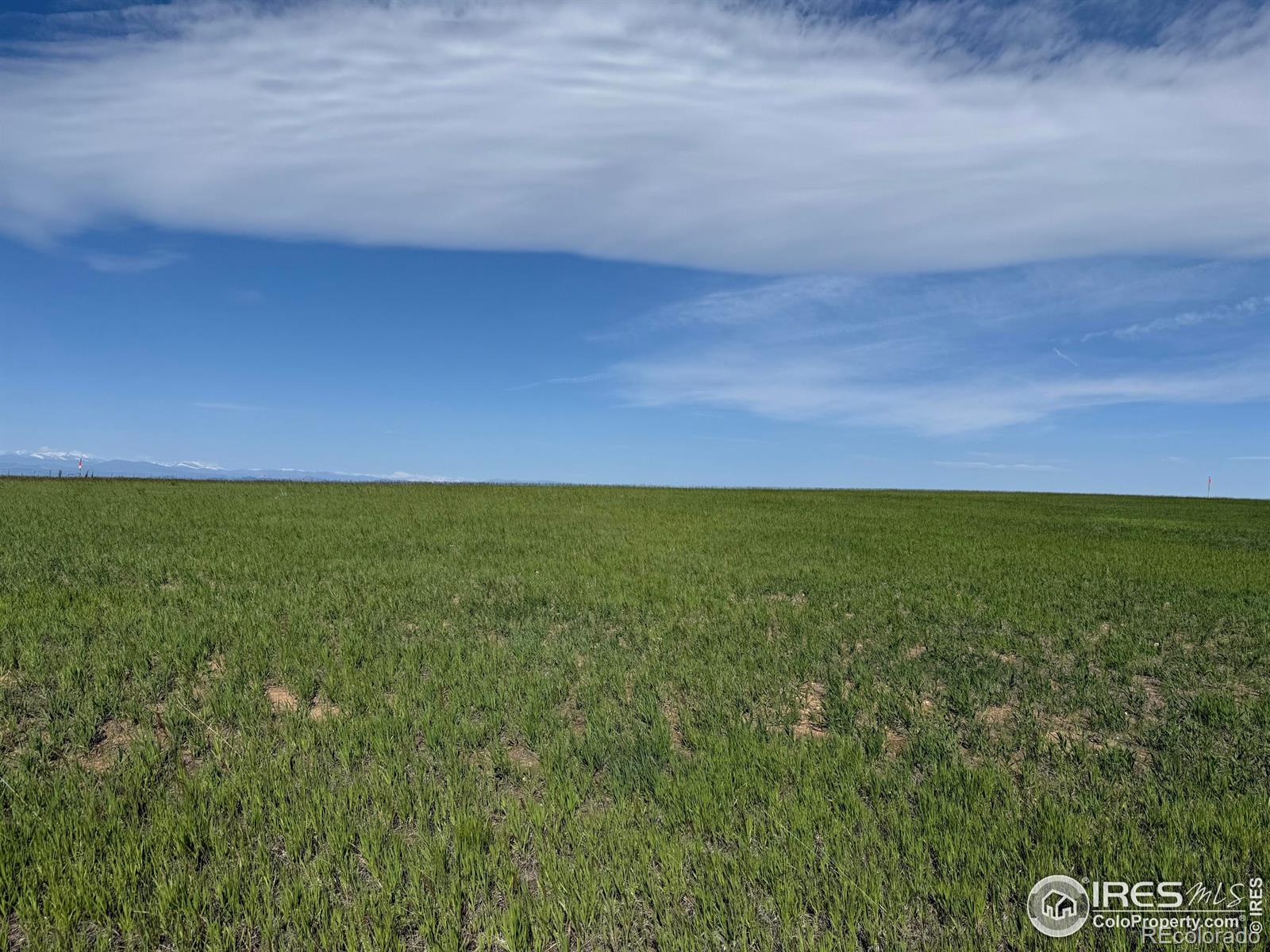 1 Tbd Ffd25 0005 Lota Co Road 15, Carr, CO 80612