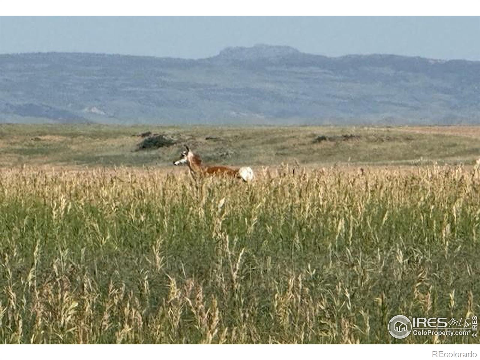 1 Tbd Ffd25 0005 Lota Co Road 15, Carr, CO 80612