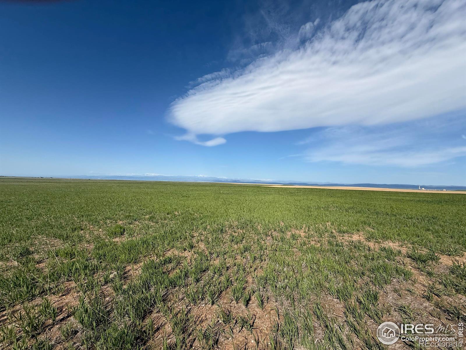 1 Tbd Ffd25 0005 Lota Co Road 15, Carr, CO 80612