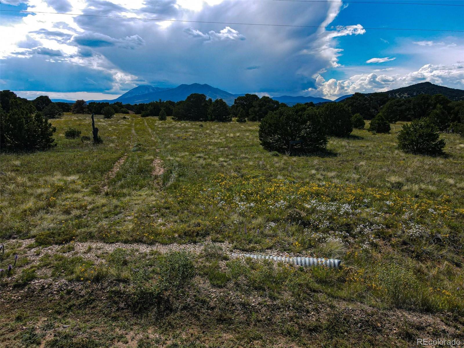 363 Black Hills Rd, Walsenburg, CO 81089