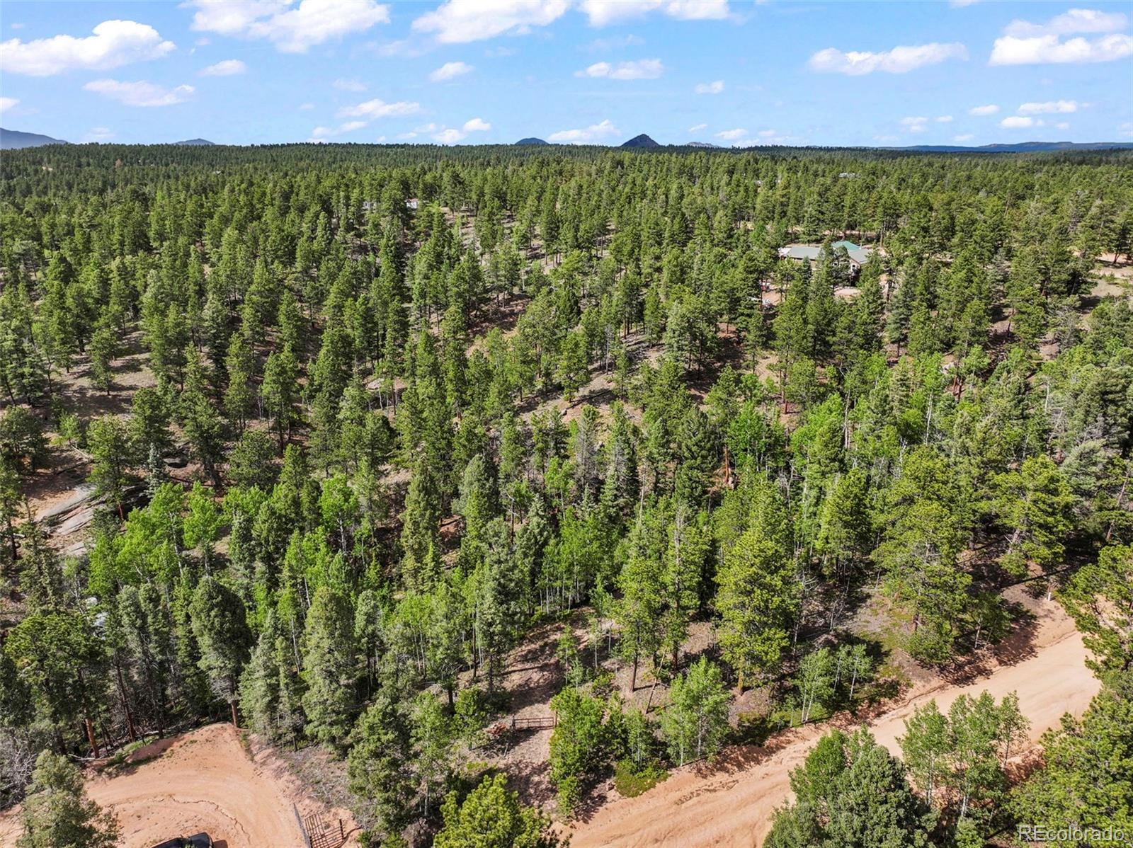 65 Spruce Creek Rd, Divide, CO 80814