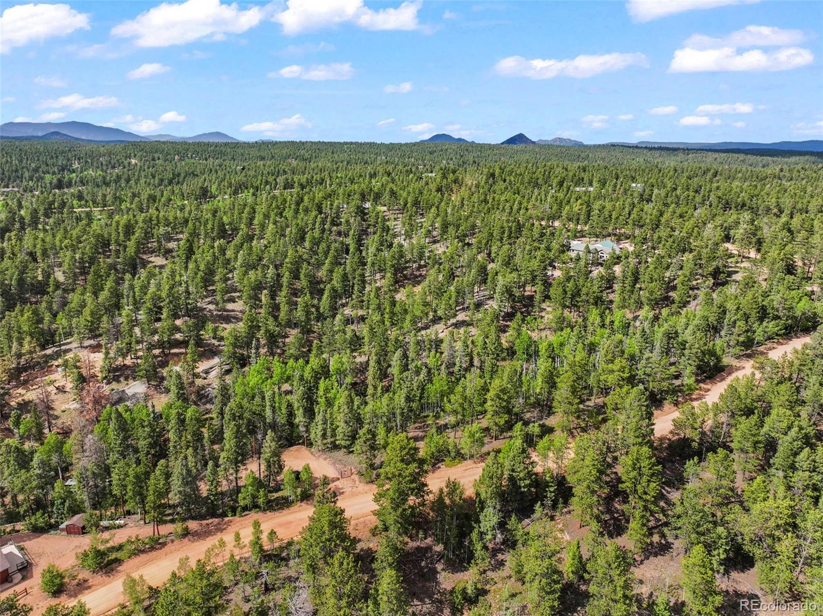 65 Spruce Creek Rd, Divide, CO 80814