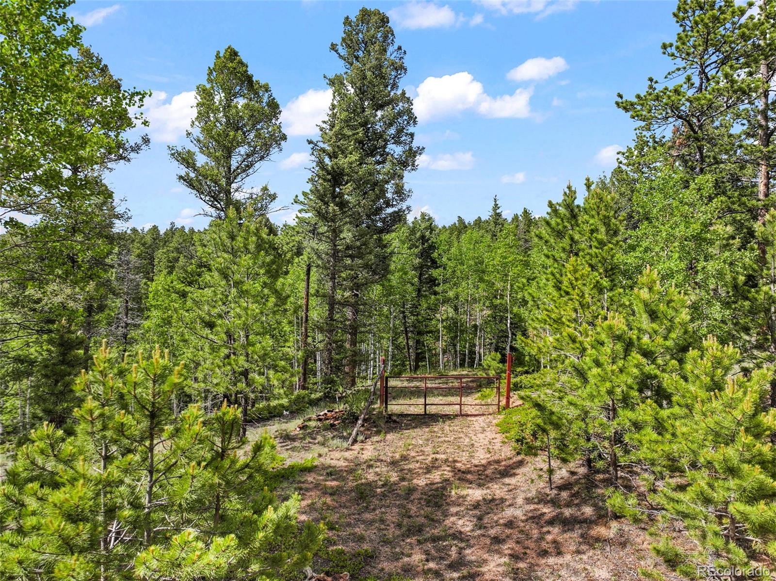 65 Spruce Creek Rd, Divide, CO 80814