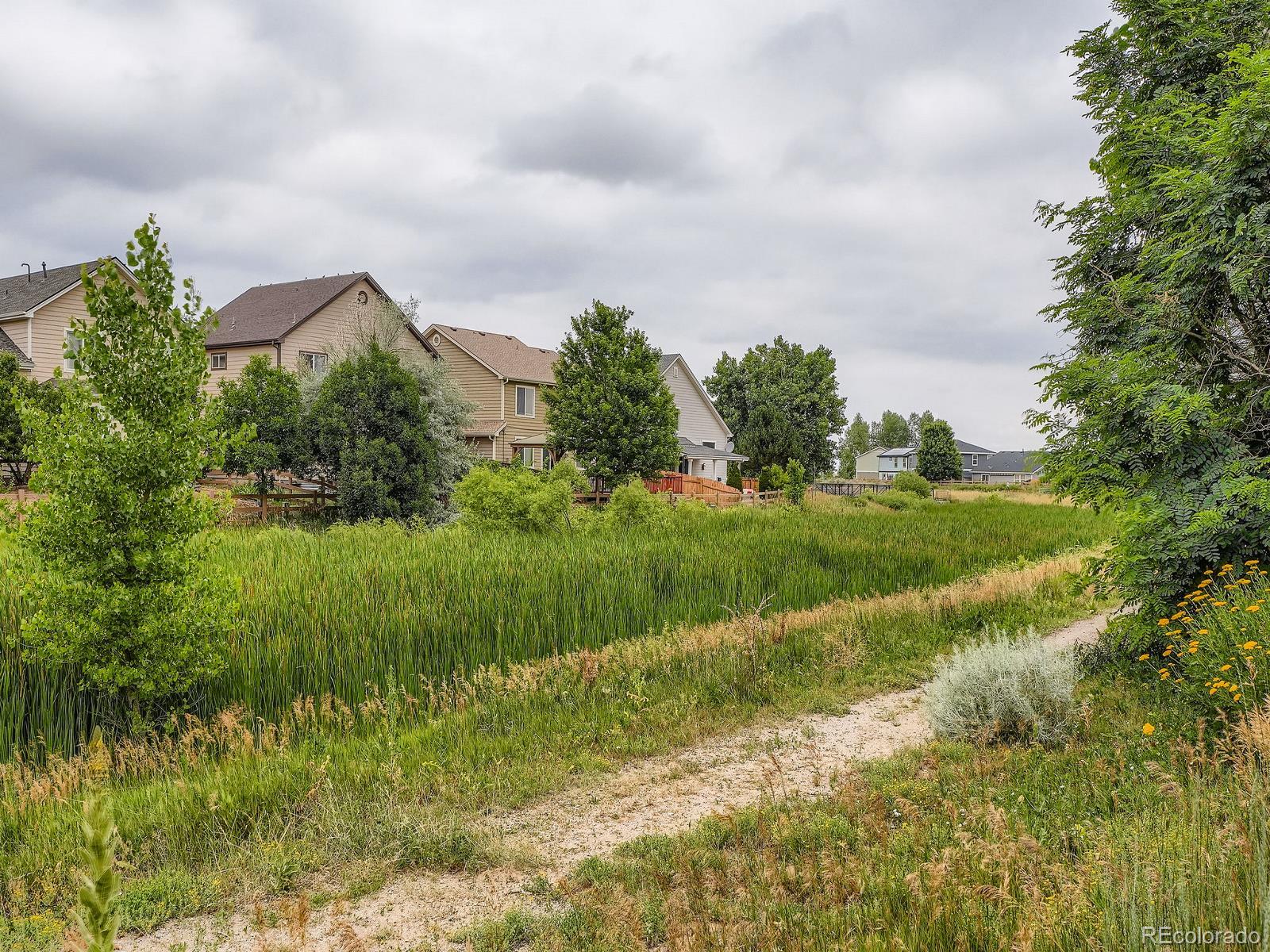 5553 Jasper St, Denver, CO 80239