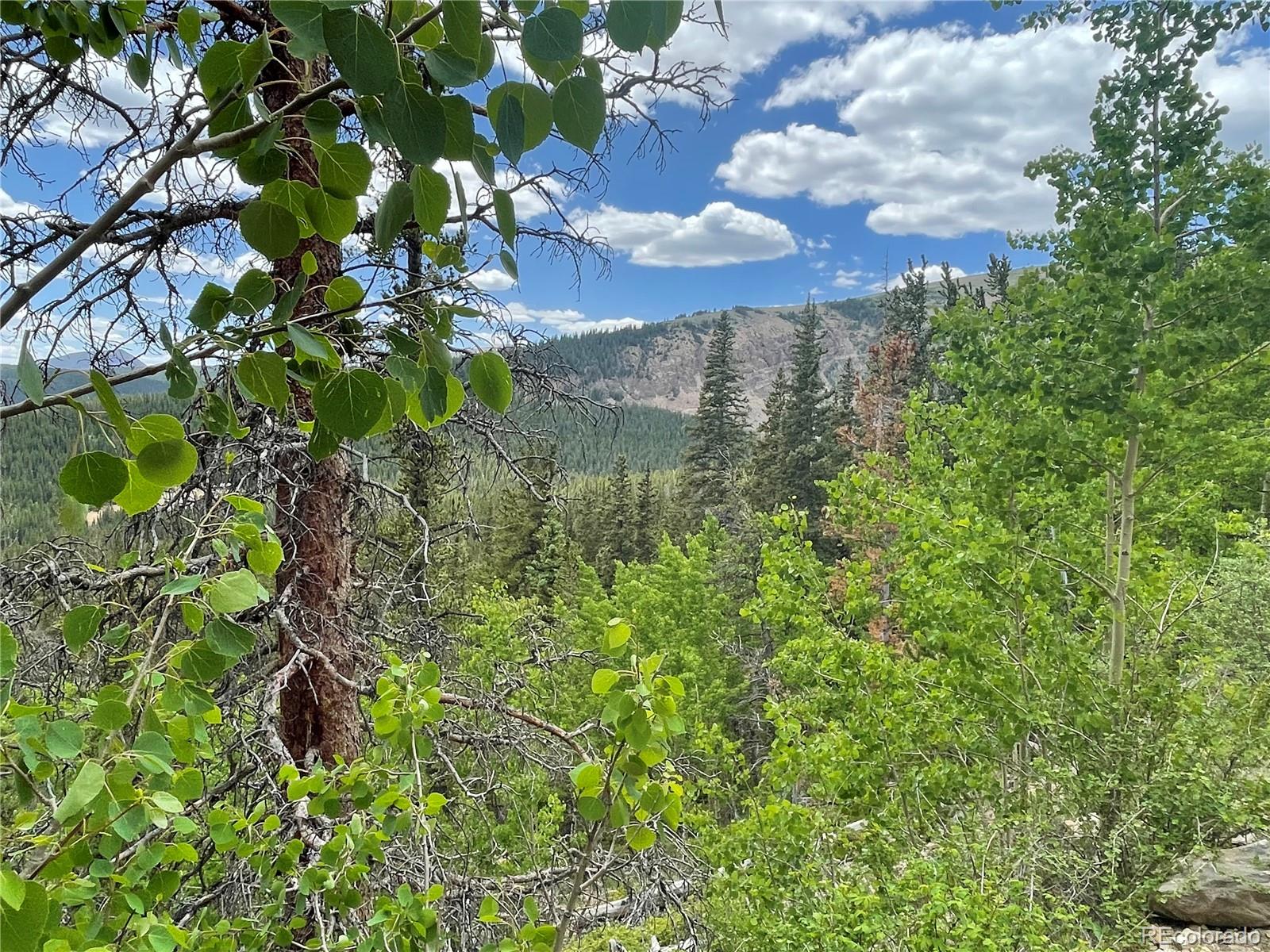 847 County Road 787, Alma, CO 80420