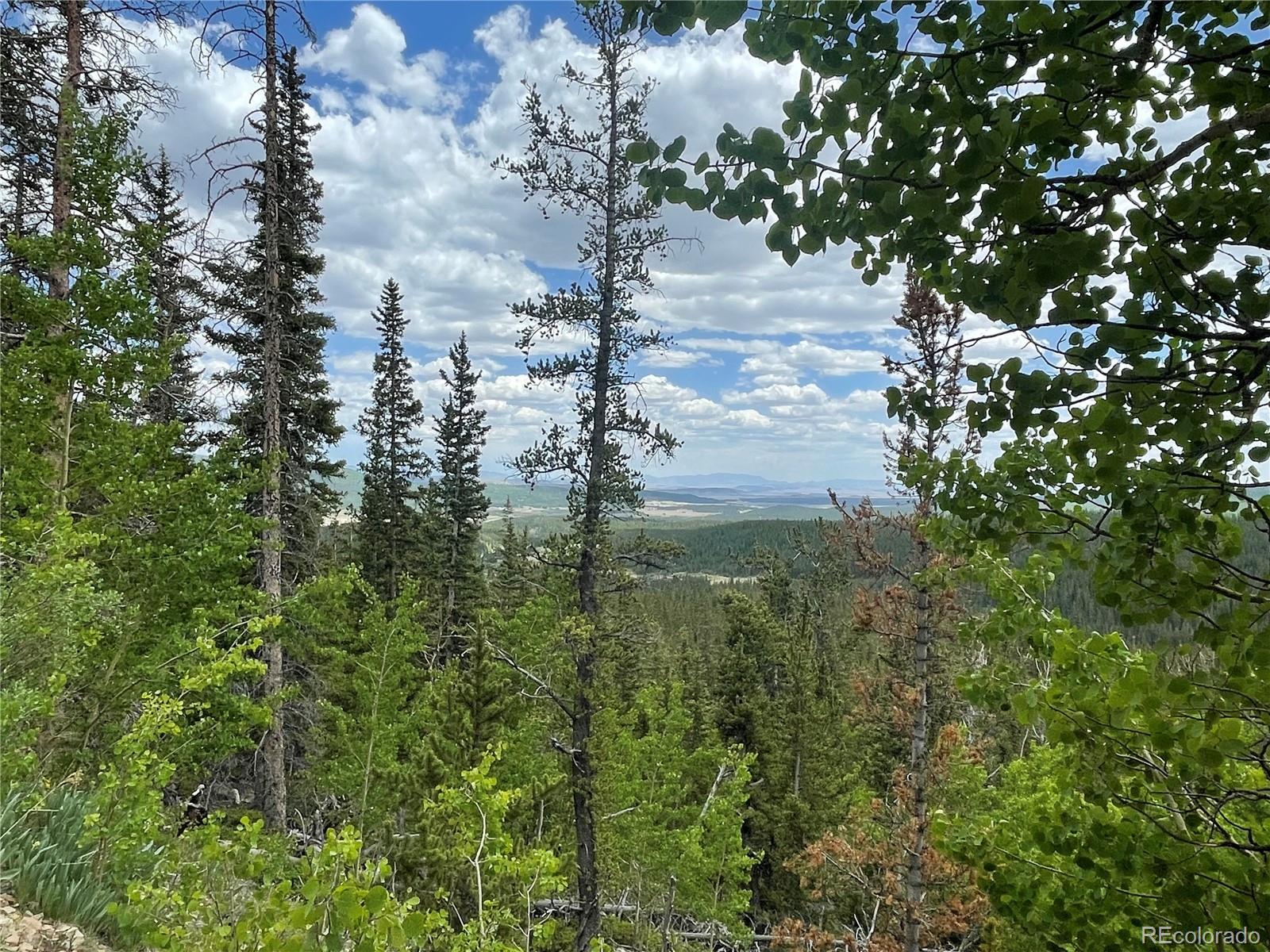 847 County Road 787, Alma, CO 80420