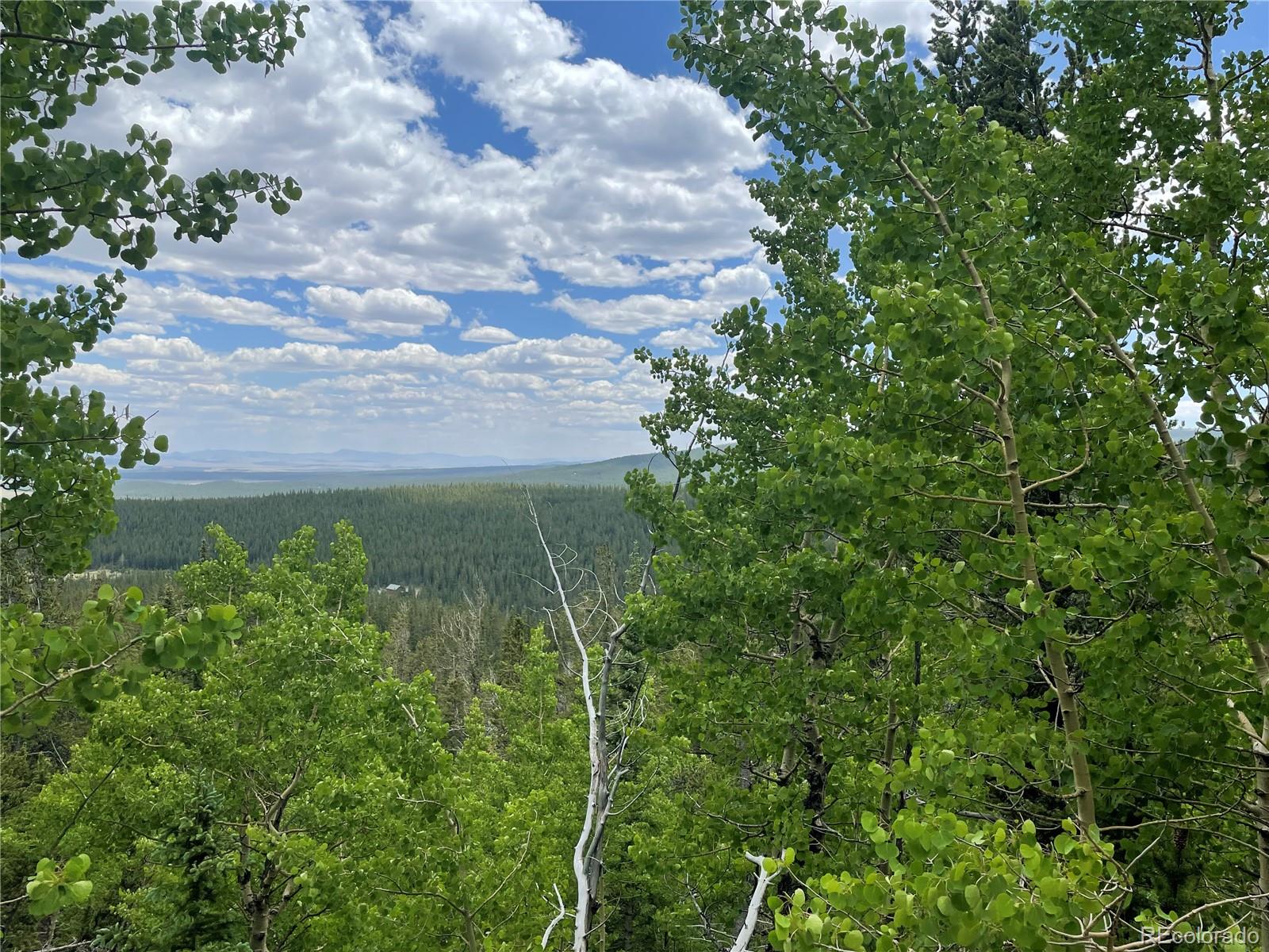 847 County Road 787, Alma, CO 80420