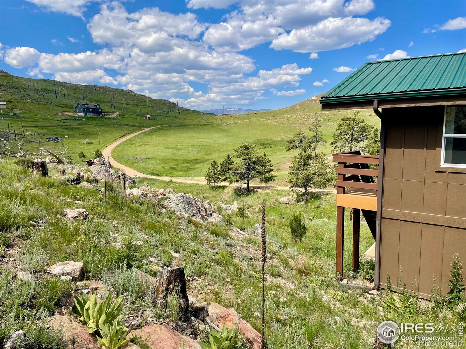98 Mount Audubon Way, Livermore, CO 80536