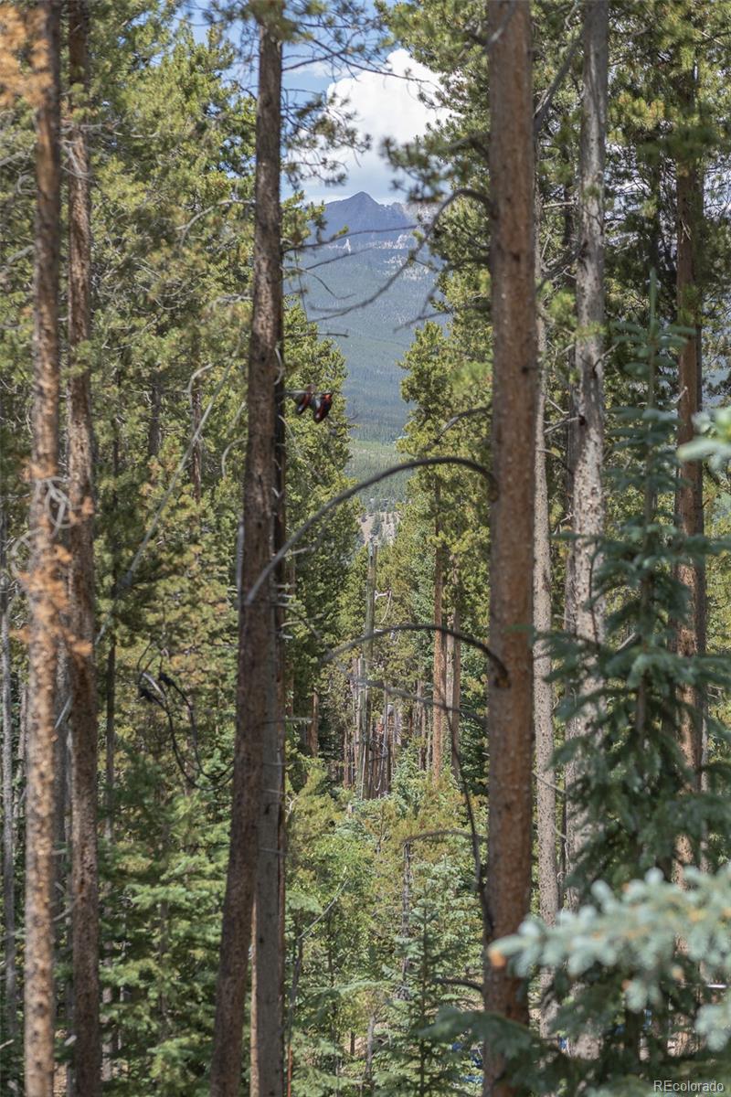 387 Moonstone Rd, Breckenridge, CO 80424