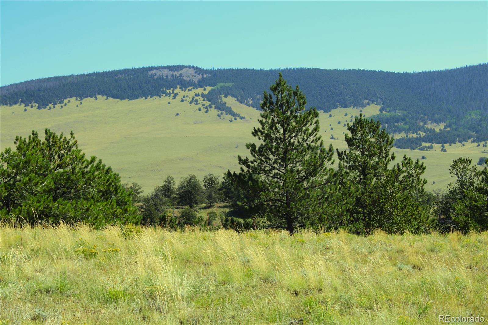 State 9 Hw, Guffey, CO 80820