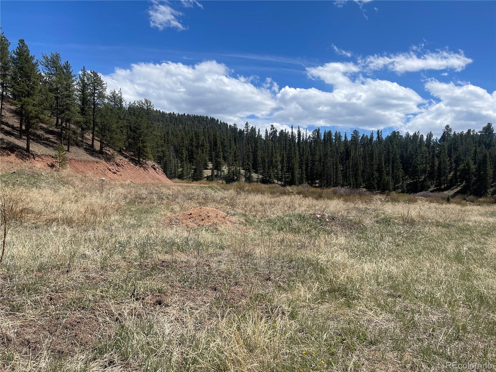00 Wildhorn Rd, Florissant, CO 80816