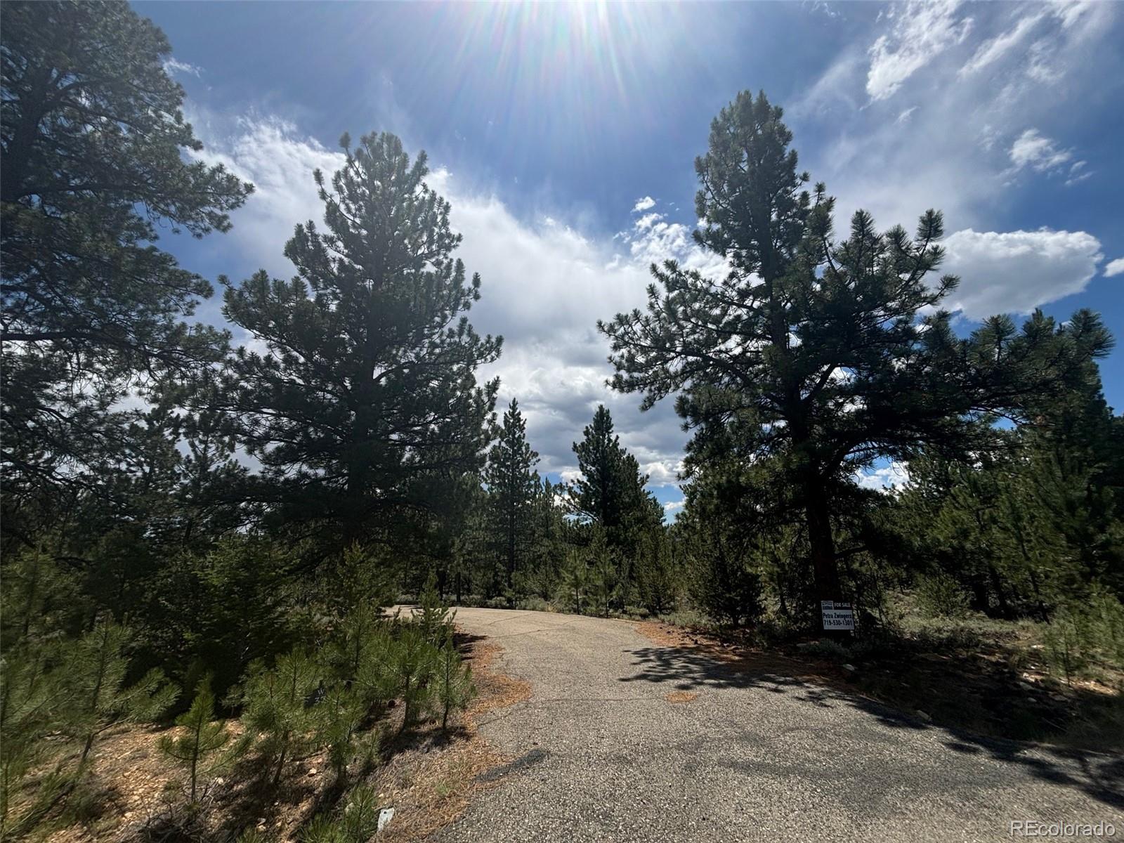 14750 Quartz Cir, Salida, CO 81201