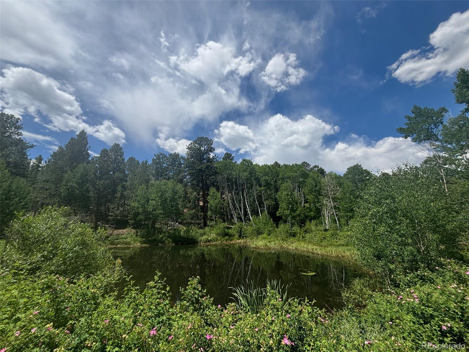 14750 Quartz Cir, Salida, CO 81201
