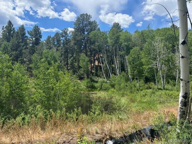 14750 Quartz Cir, Salida, CO 81201