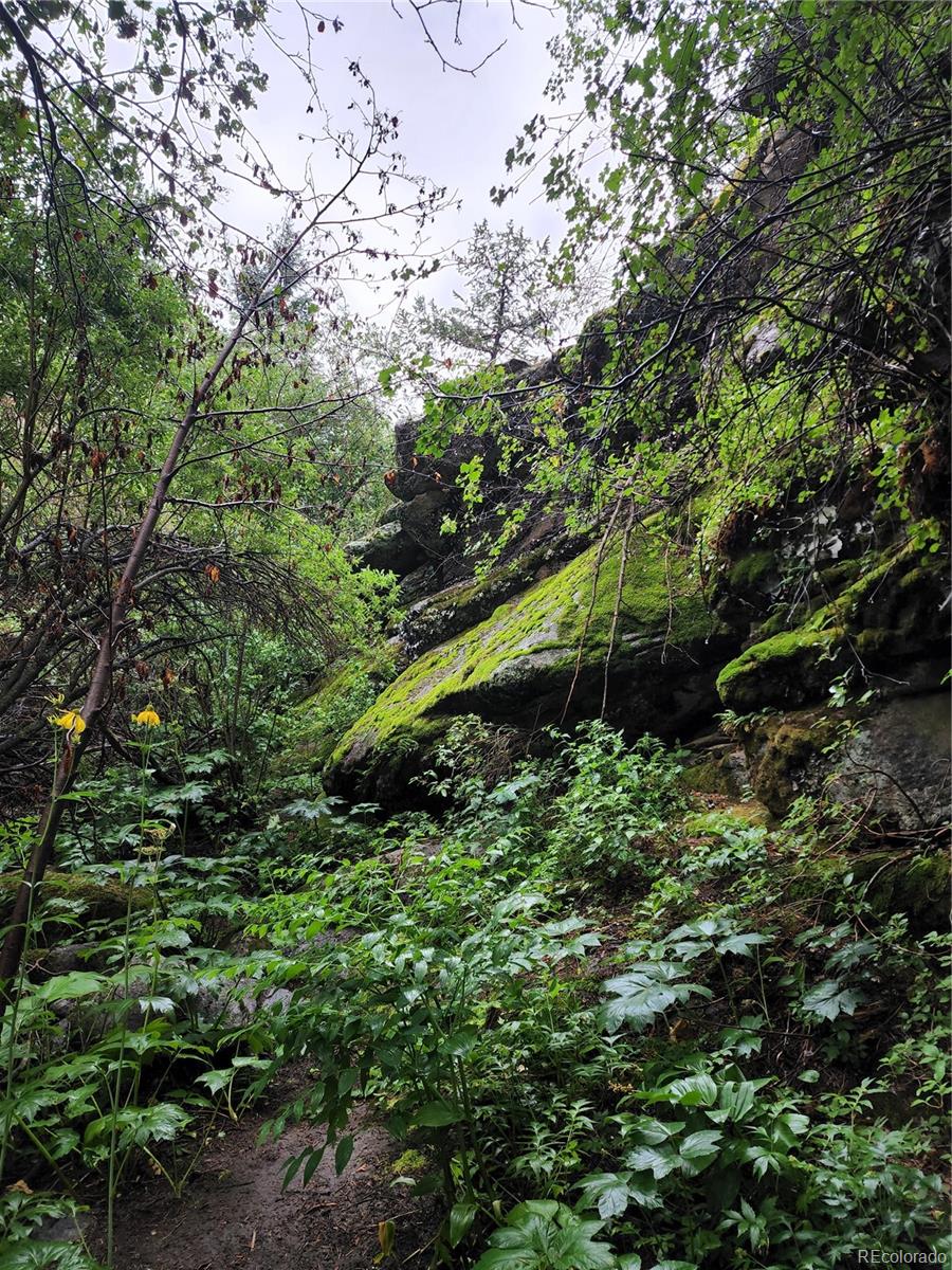 31429 Burke Rd Lot 2, Golden, CO 80403