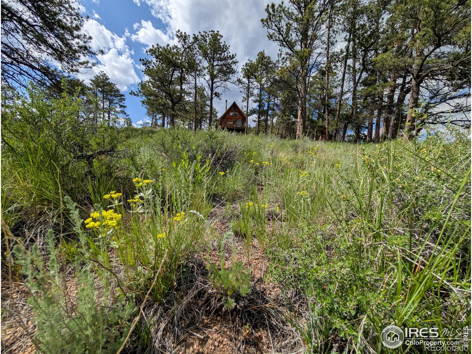 2898 Red Ashby Rd, Livermore, CO 80536