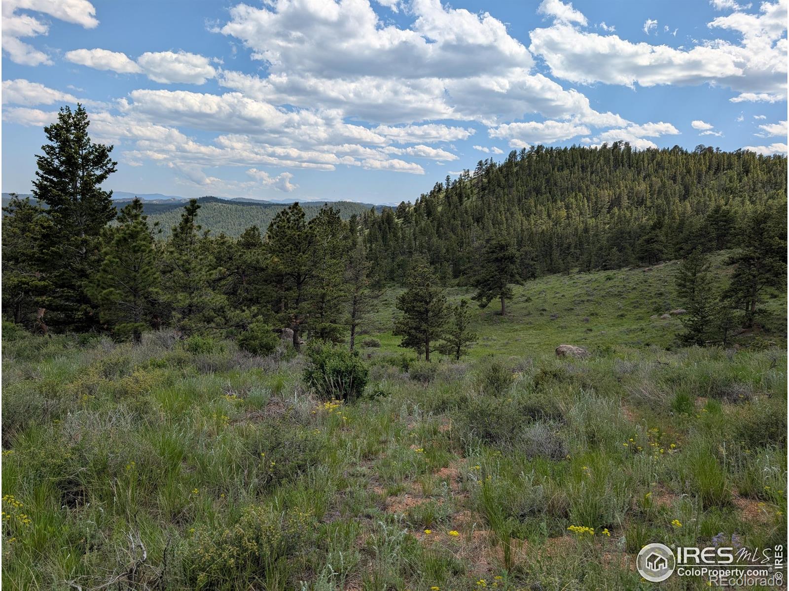2898 Red Ashby Rd, Livermore, CO 80536