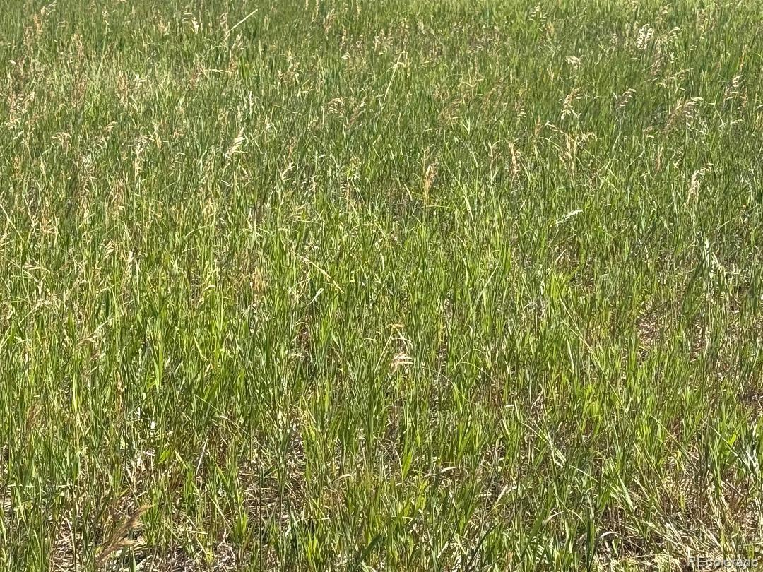 0001 County Road 9, Elbert, CO 80106