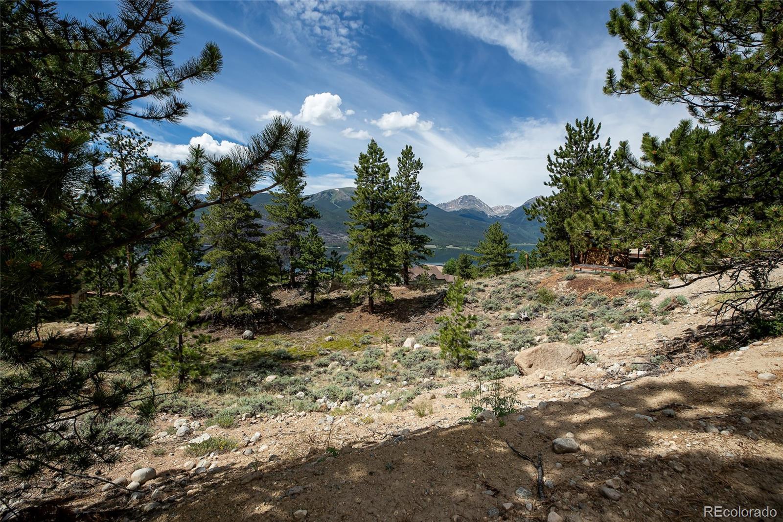350 La Plata Peak Dr, Twin Lakes, CO 81251