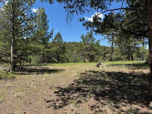 209 Kenosha Cir, Divide, CO 80814