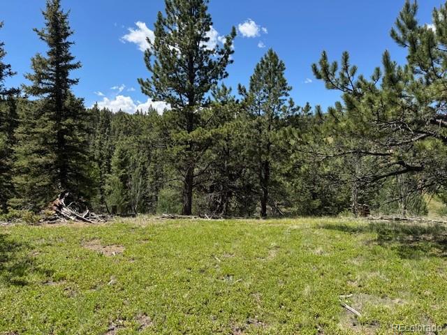 209 Kenosha Cir, Divide, CO 80814