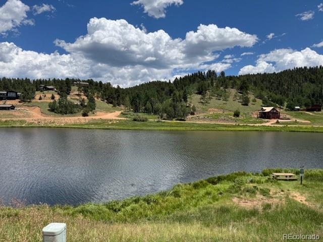 209 Kenosha Cir, Divide, CO 80814