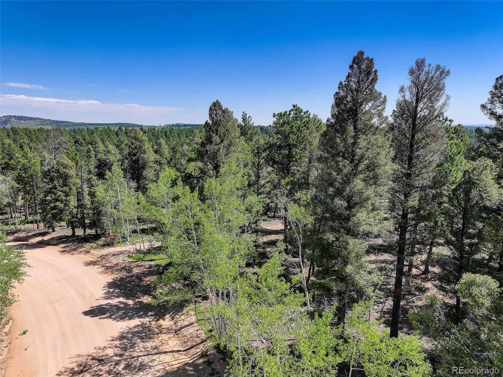 1002 Indian Creek Rd Lot R0011770, Florissant, CO 80816