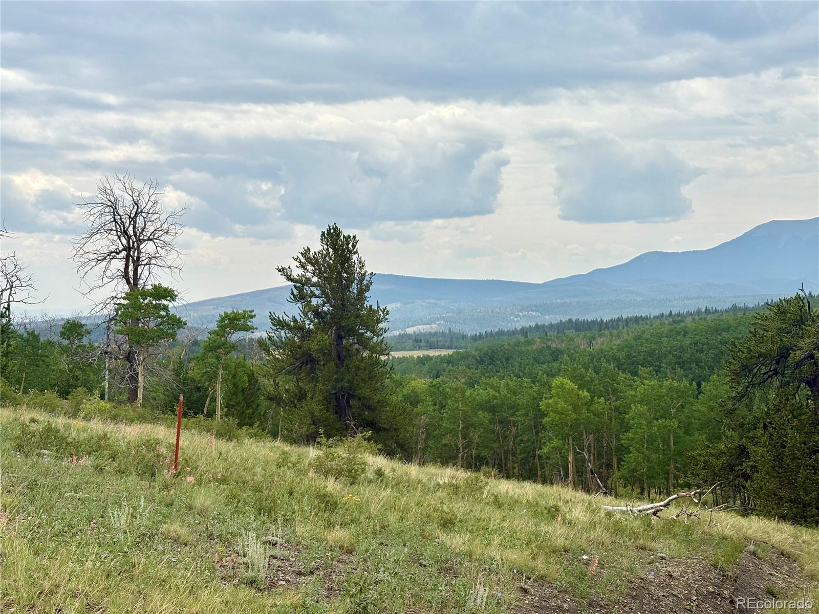 74 Forest Dr, Fairplay, CO 80440