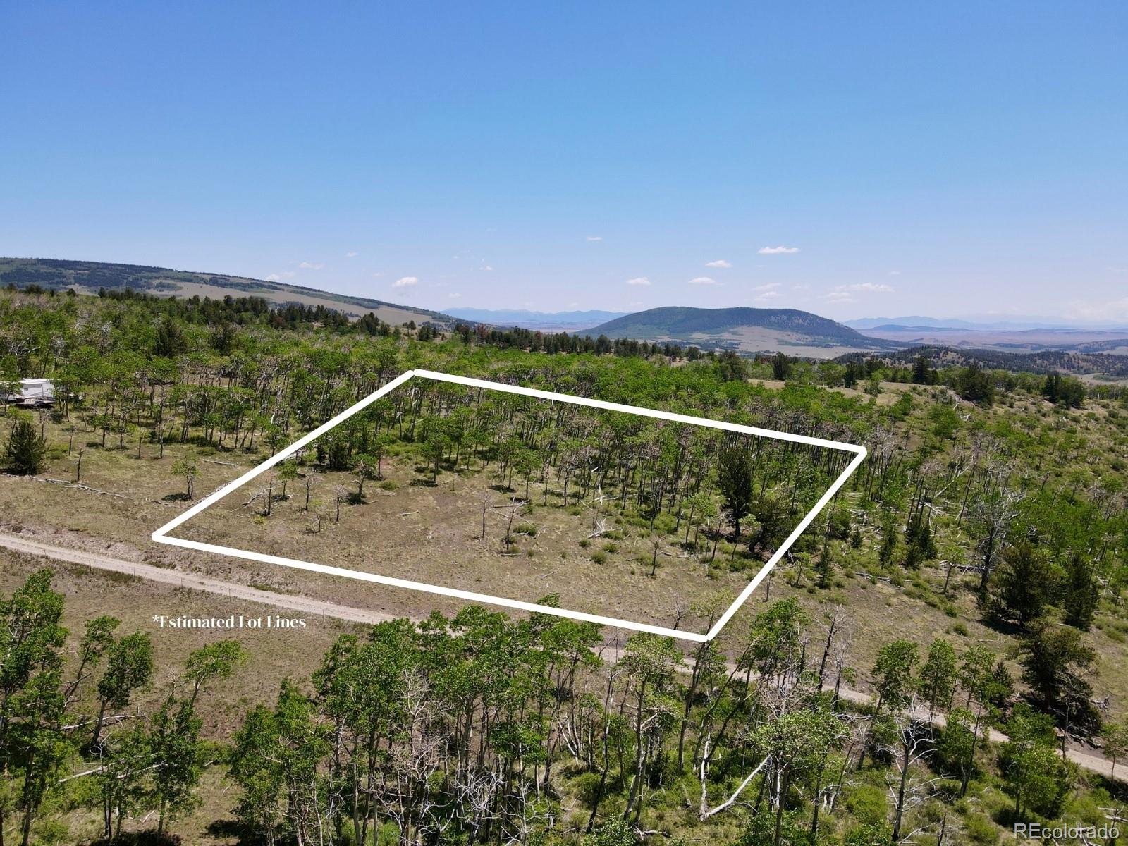 74 Forest Dr, Fairplay, CO 80440
