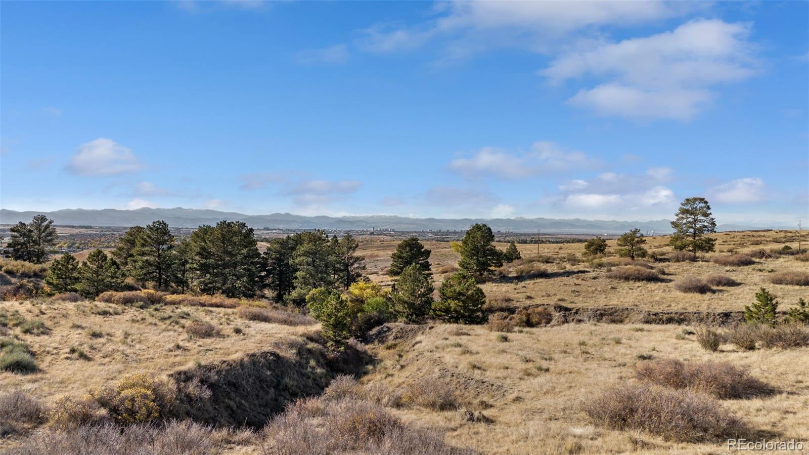13500 Pine Dr, Parker, CO 80138