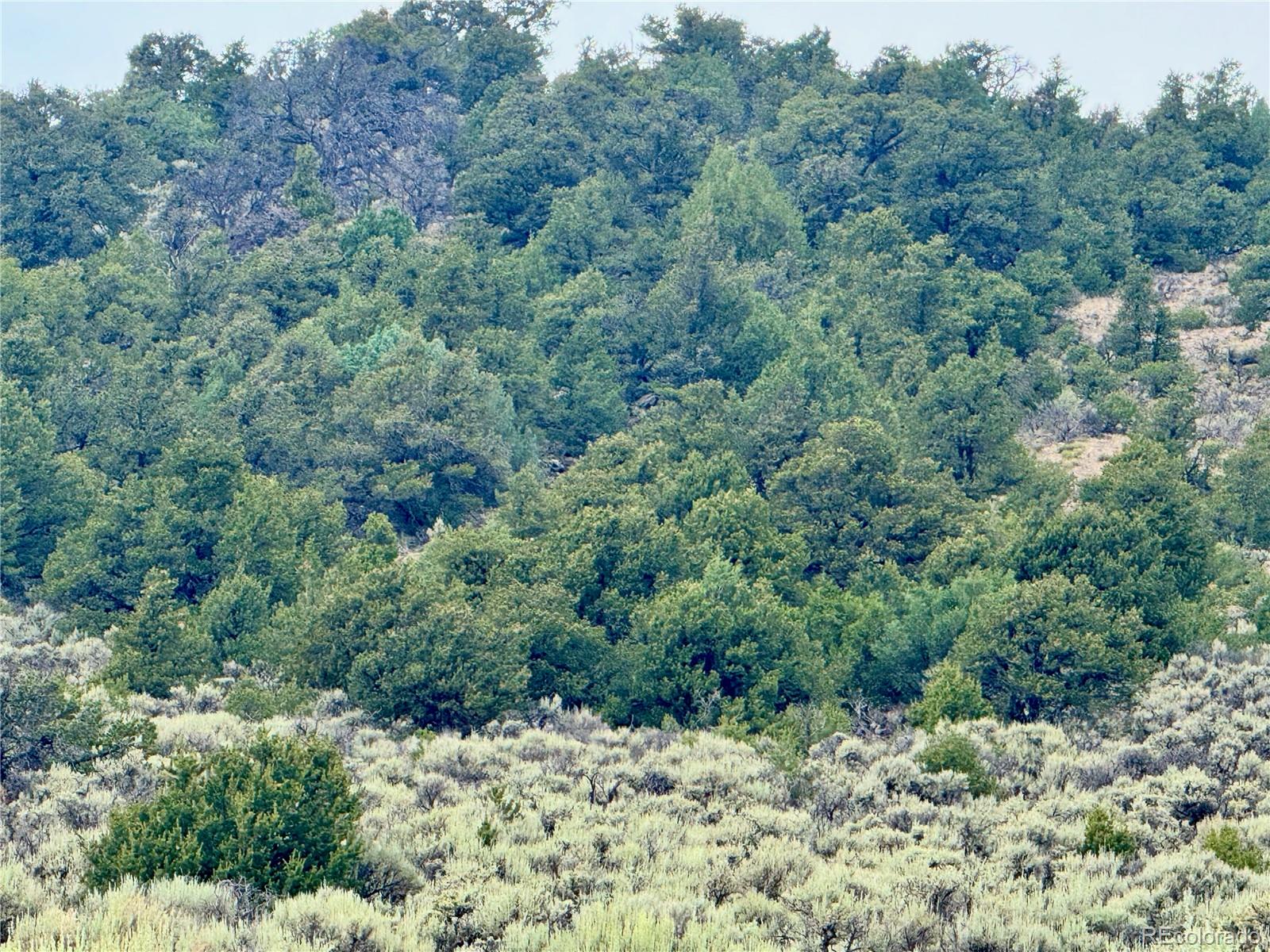 Lot 38 Wildhorse Dr, San Luis, CO 81152