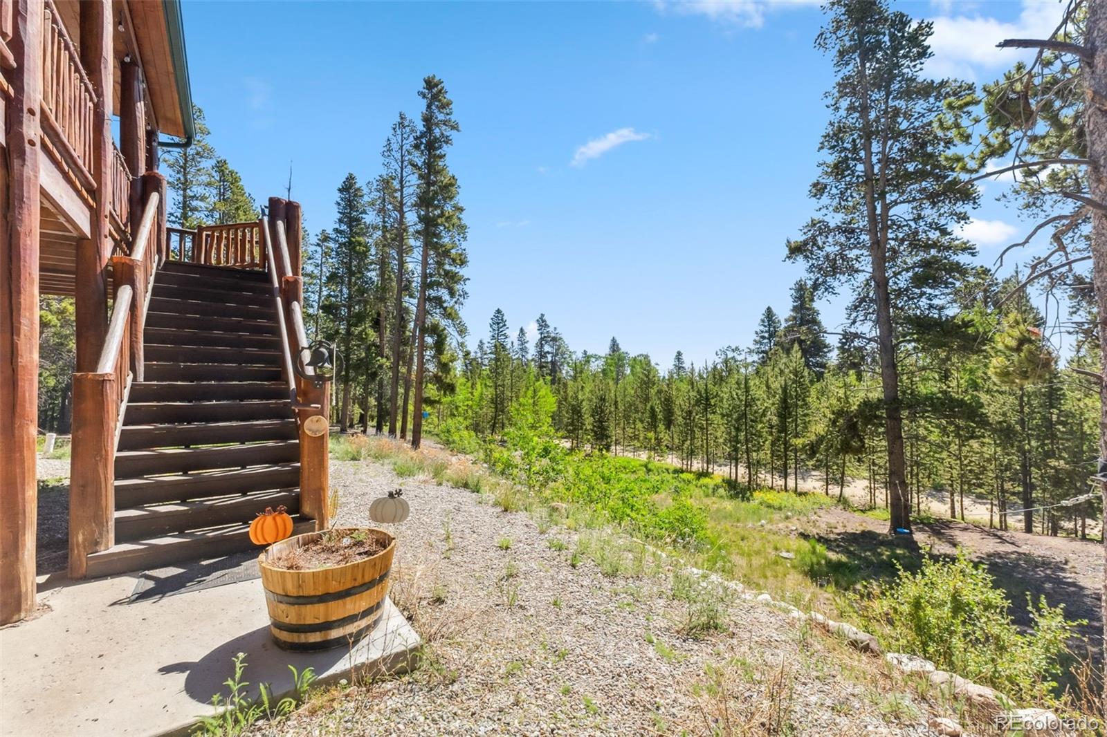 889 Venture Rd, Fairplay, CO 80440