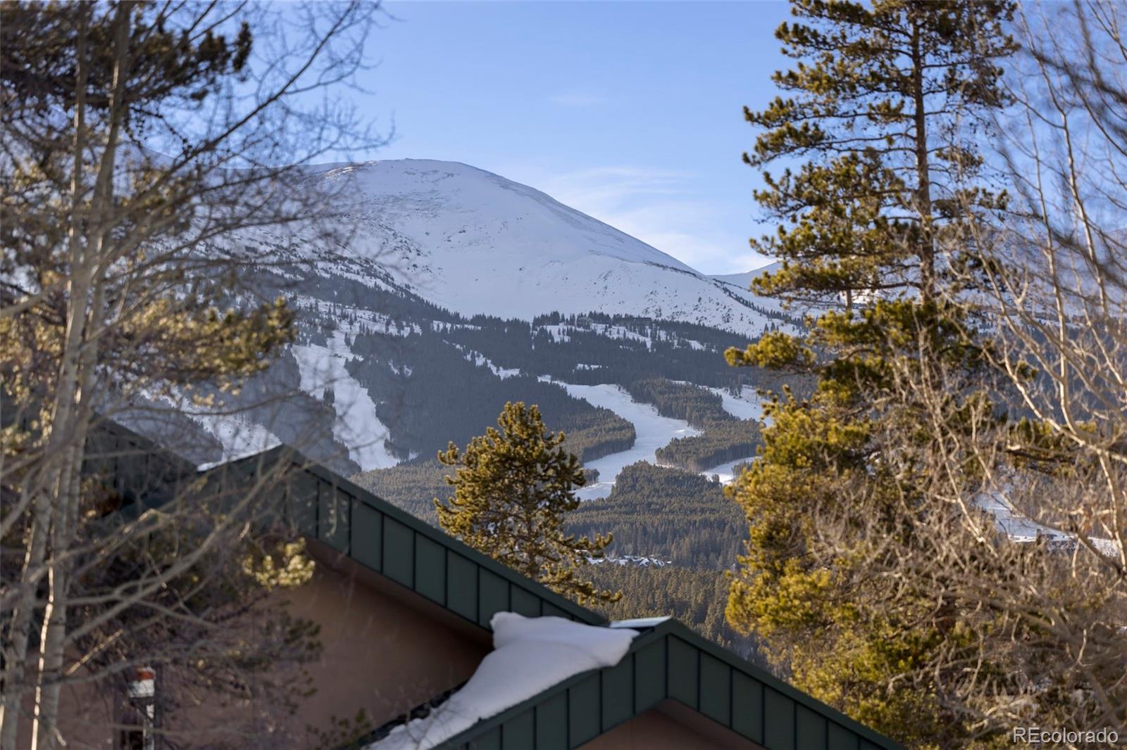 100 N Gold Flake Ter #A, Breckenridge, CO 80424