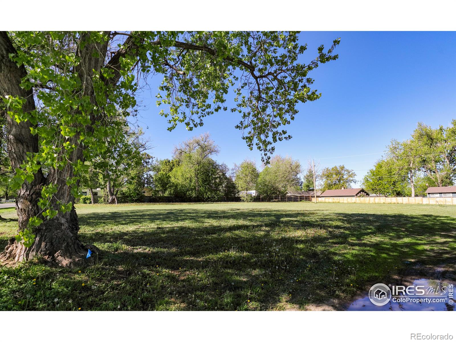 11880 Juniper St, Lafayette, CO 80026