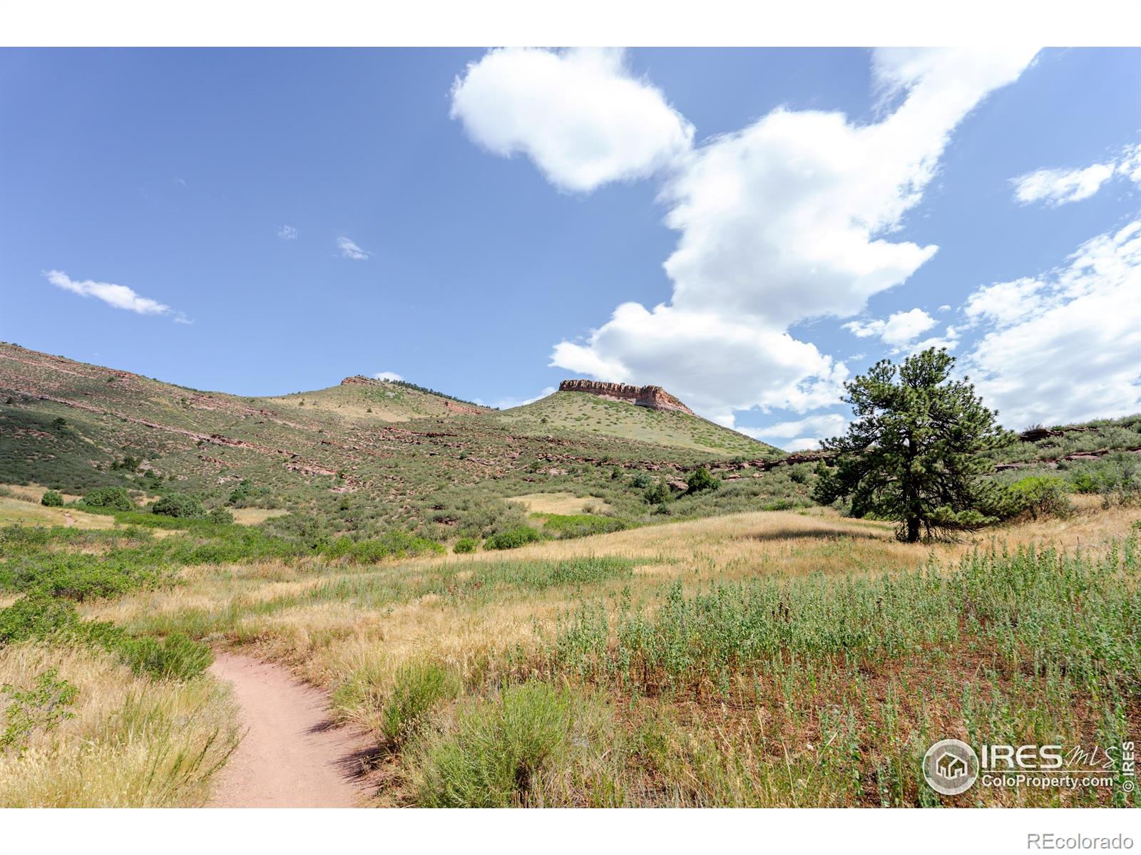 31820 S Saint Vrain Dr, Lyons, CO 80540