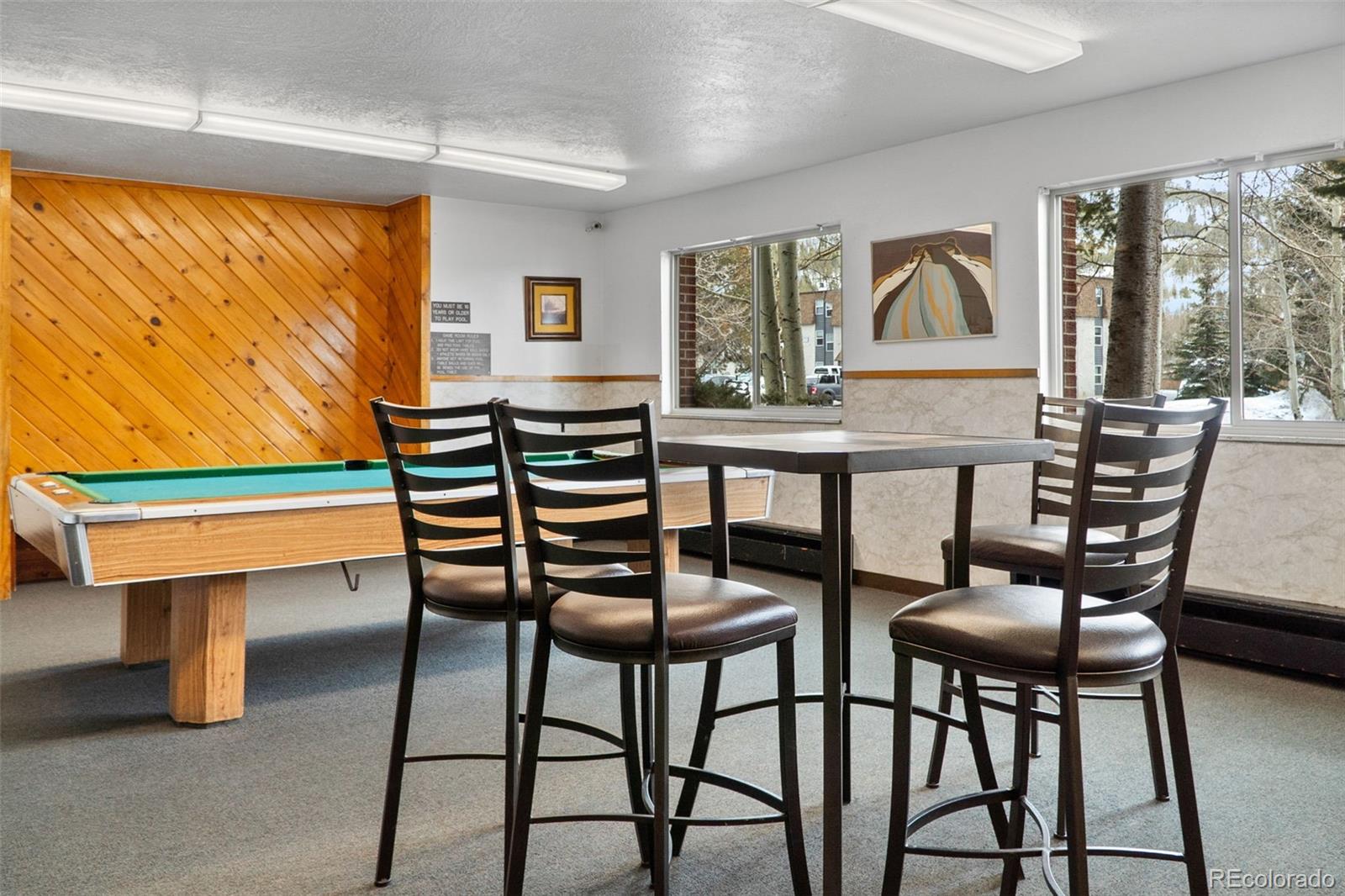 675 Straight Creek Dr #301, Dillon, CO 80435