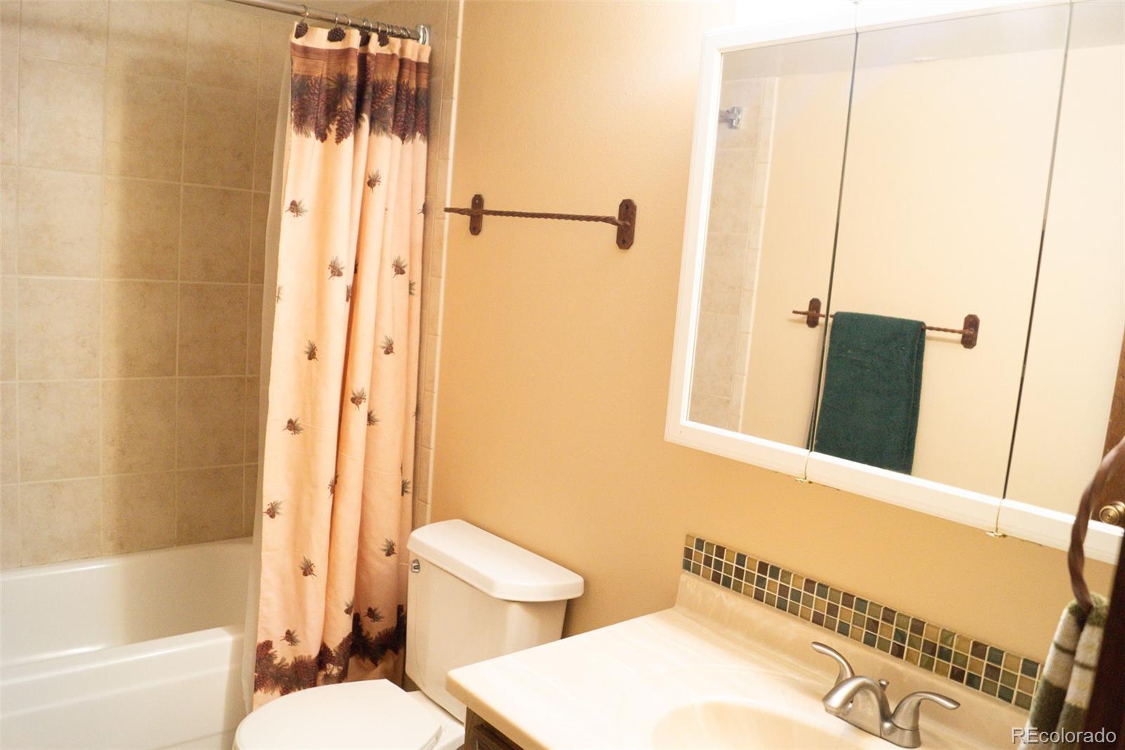 309 County Road 804 #E102, Fraser, CO 80442