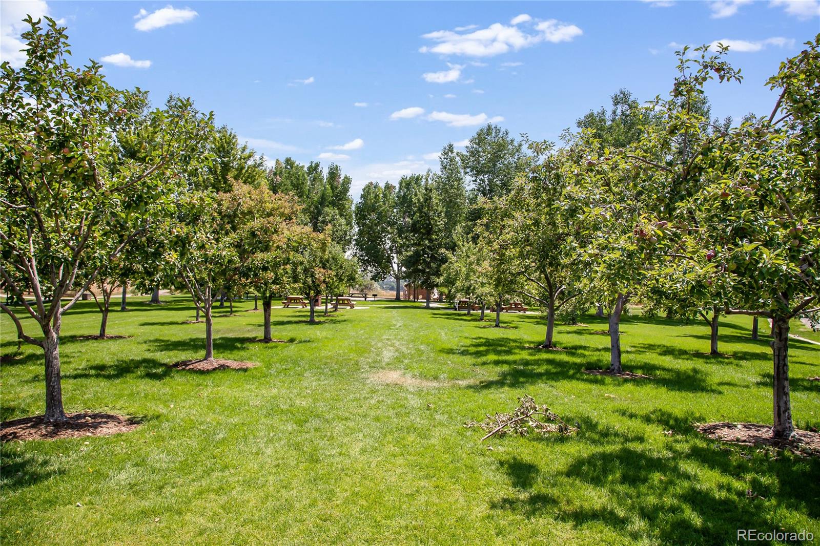 11776 Perry St, Westminster, CO 80031