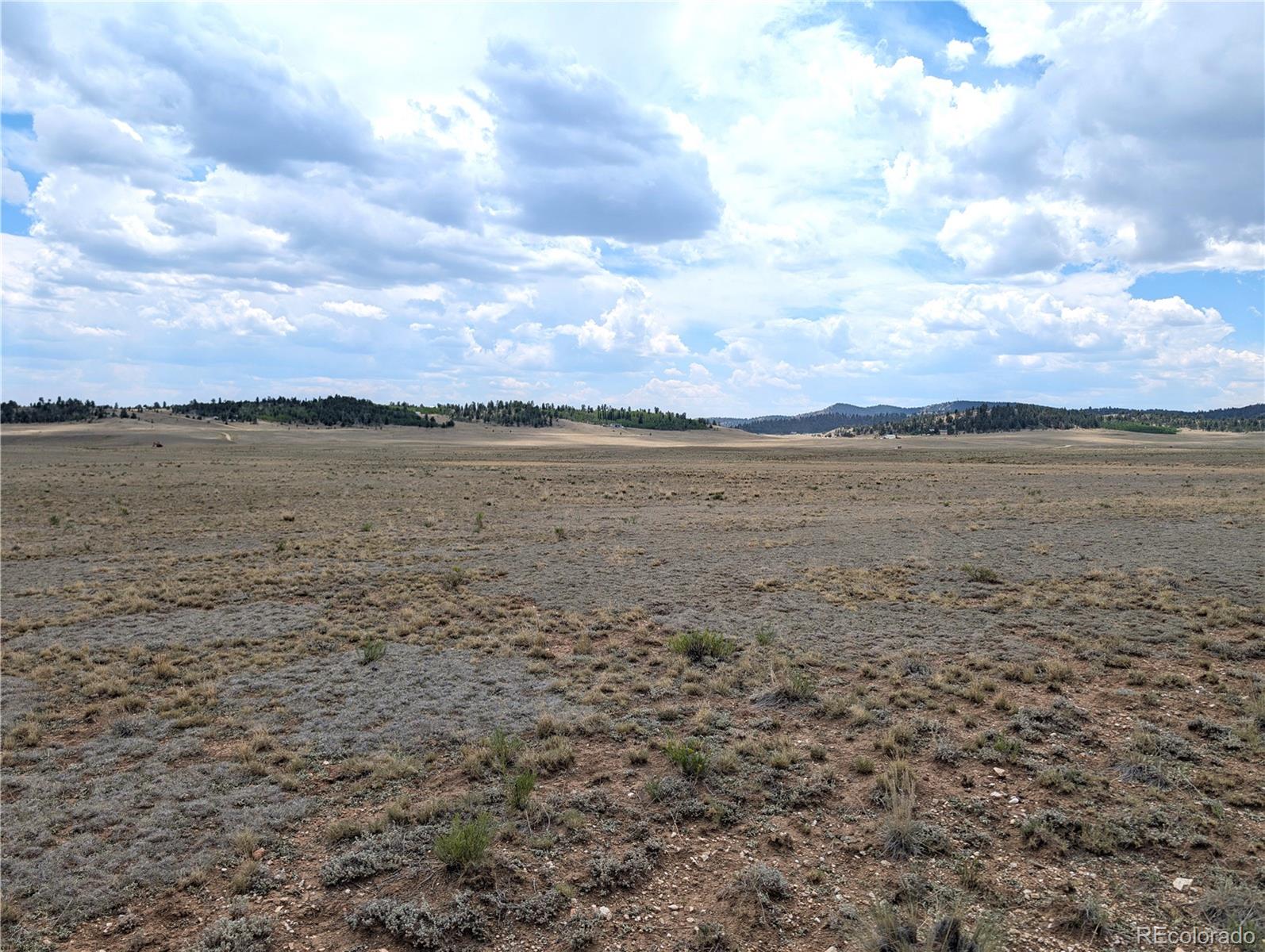 956 Apache Trl Lot 52, Hartsel, CO 80449