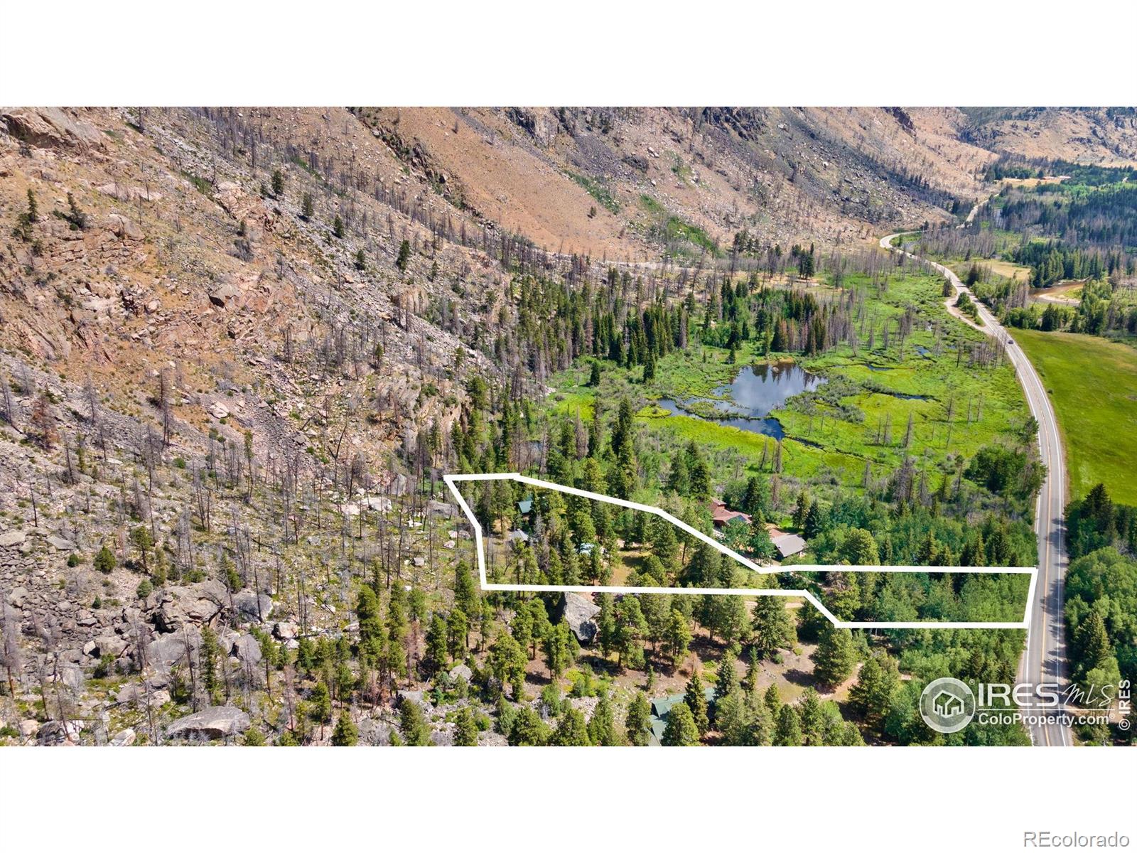 87 Shady Rest Ln, Bellvue, CO 80512
