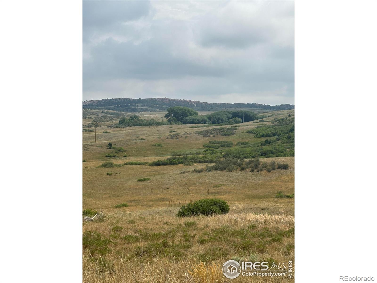 124 Springs Ranch Rd, Laporte, CO 80535