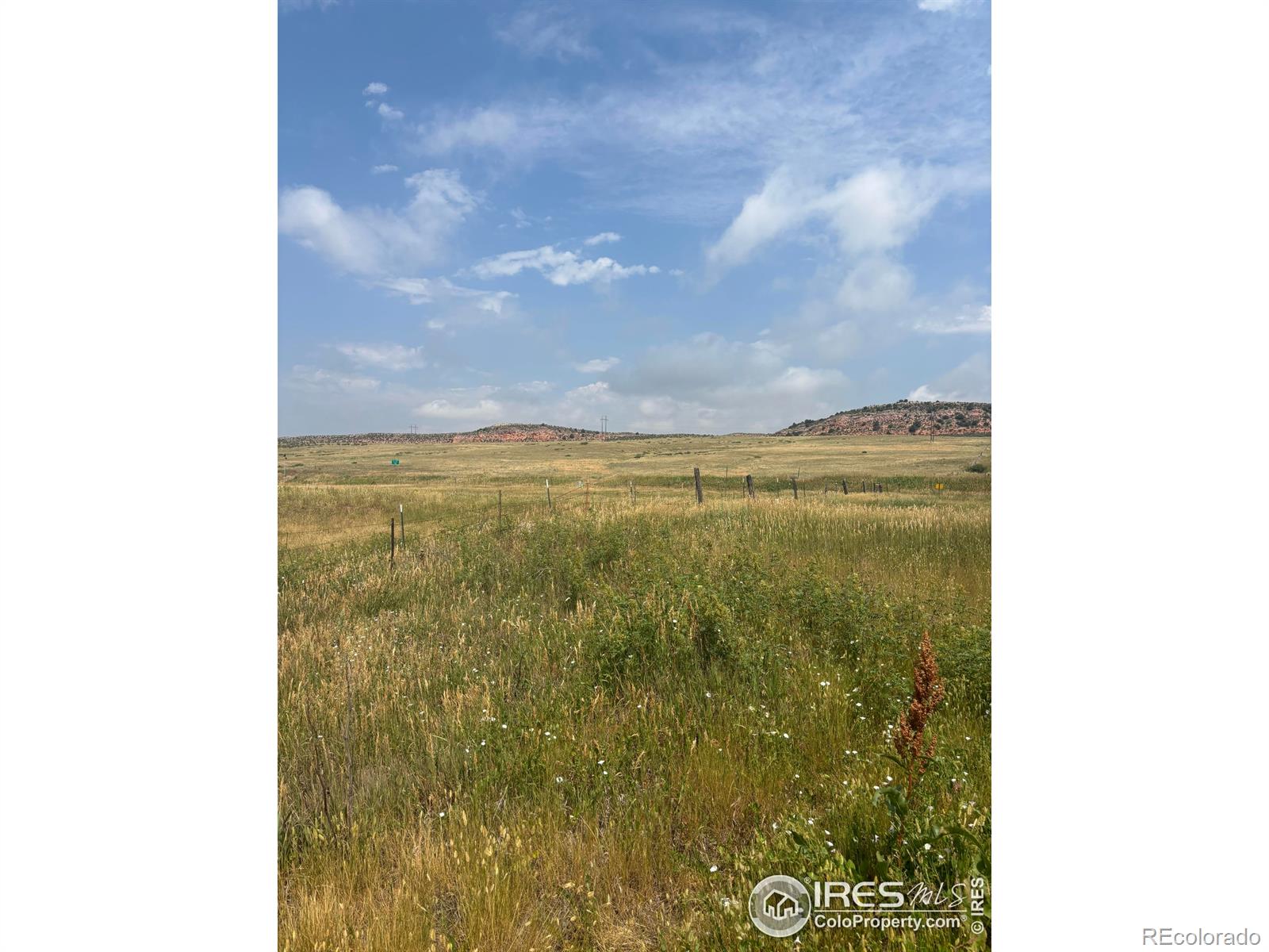 124 Springs Ranch Rd, Laporte, CO 80535