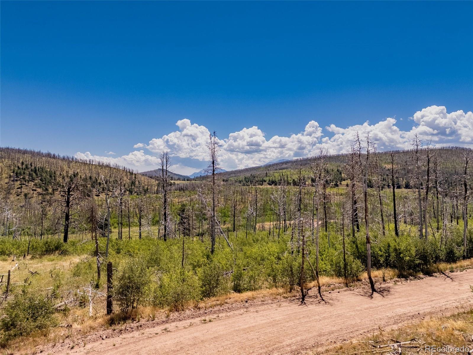 1626 Emery, Fort Garland, CO 81133