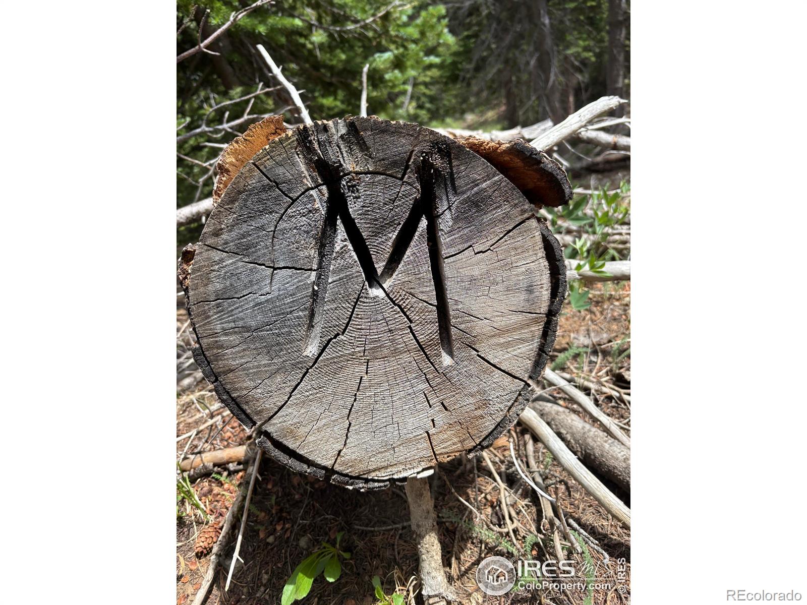 0 County Road 128 J, Nederland, CO 80466