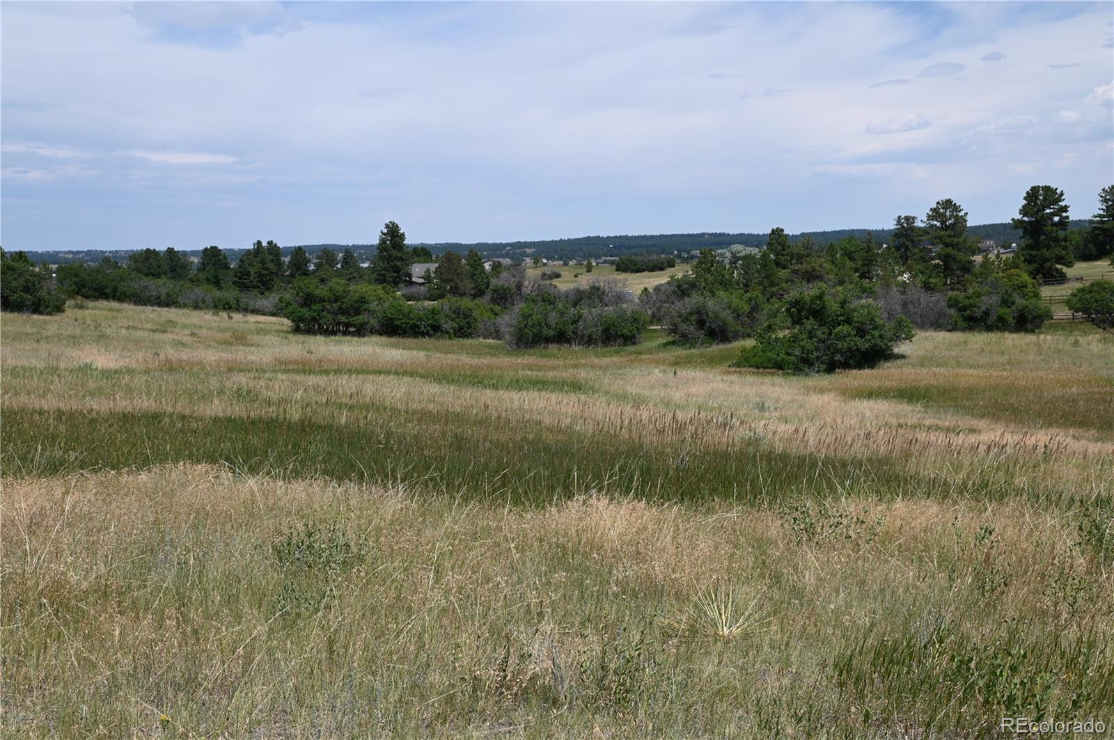 1579 Deerpath Rd, Franktown, CO 80116