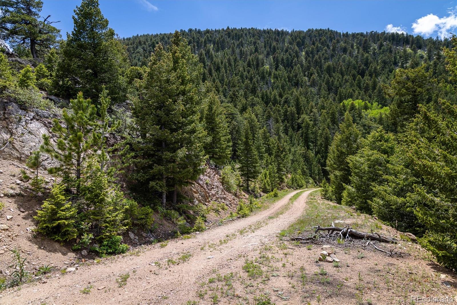 1259 Chute Rd, Golden, CO 80403